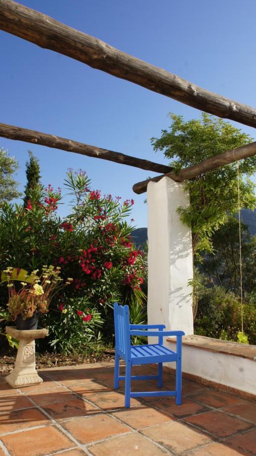Casa Del Cielo Apartment Frigiliana Exterior photo