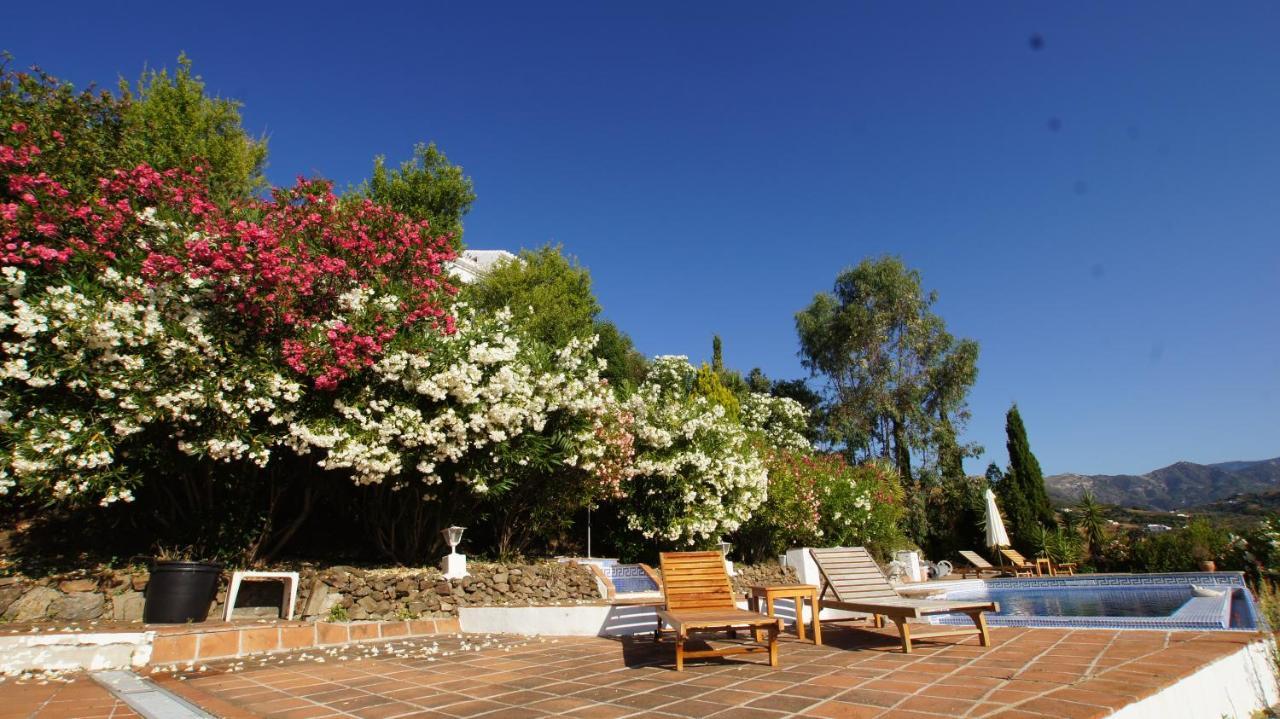 Casa Del Cielo Apartment Frigiliana Exterior photo